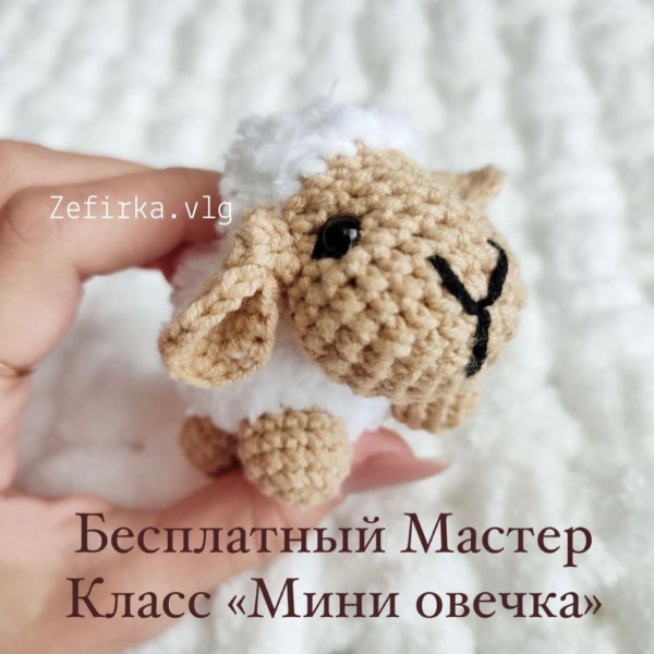 Овечки, козочки. Овечка